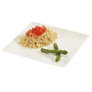 Large disposable Fluid Plate filled with food