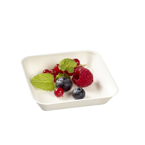 Small Kanopee Container