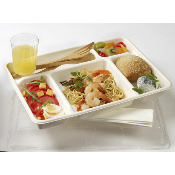 Five Section Tray filled with food and salad