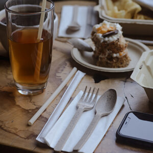 Agave Straws and Cutlery