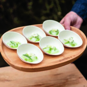 EKO Jammon Supermini