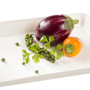 Kanopee plate with PLA lamination 7.9" x 5.9"